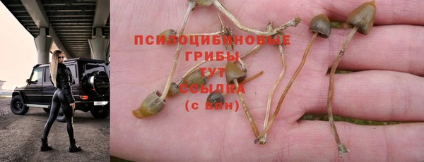 ГАЛЛЮЦИНОГЕННЫЕ ГРИБЫ Алексин