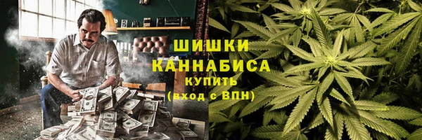ГАЛЛЮЦИНОГЕННЫЕ ГРИБЫ Алексин