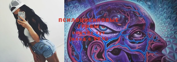 хмурый Сатка