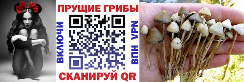 Псилоцибиновые грибы Magic Shrooms  Бикин 